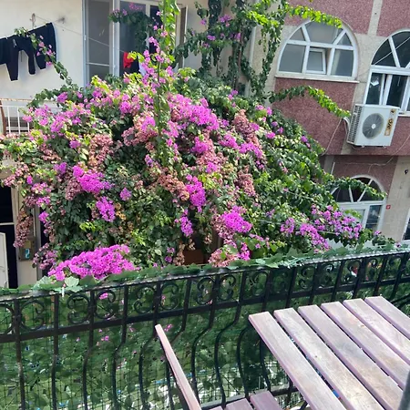 Séjour chez l'habitant Büyükada çarşı Adalar